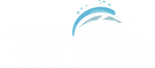 SEE DELFINA – AI-Powered Digital Solutions